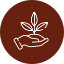 Food_griculture